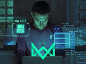 O que é low code e qual a sua importância?